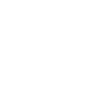 initial investment amount